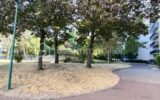 Appartement à vendre à Neuilly sur marne — Vue sur la ville — photo 17