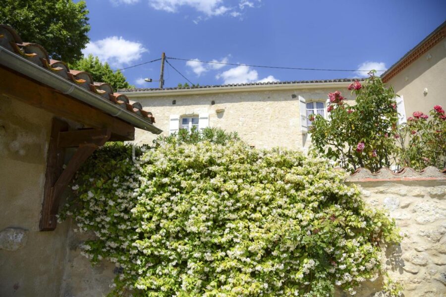 Maison à vendre à Lectoure — Vue nature — photo 17