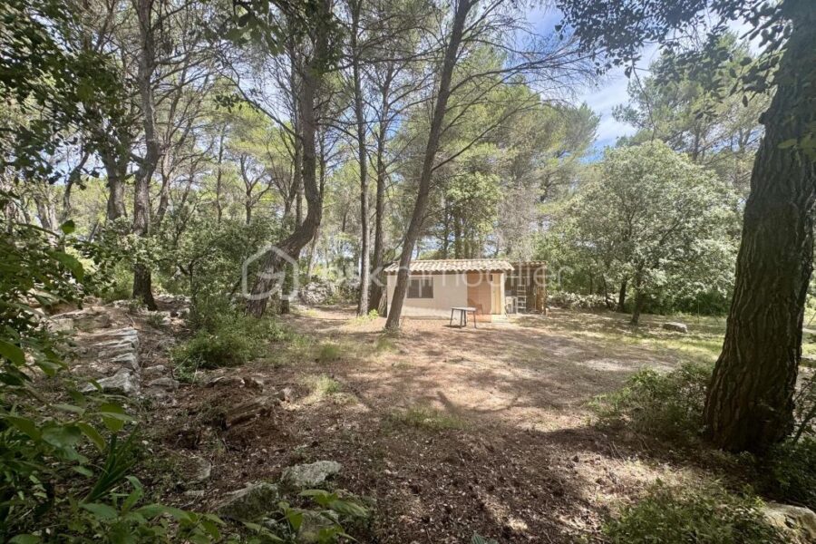 Maison à vendre à Eguilles — Vue nature — photo 17