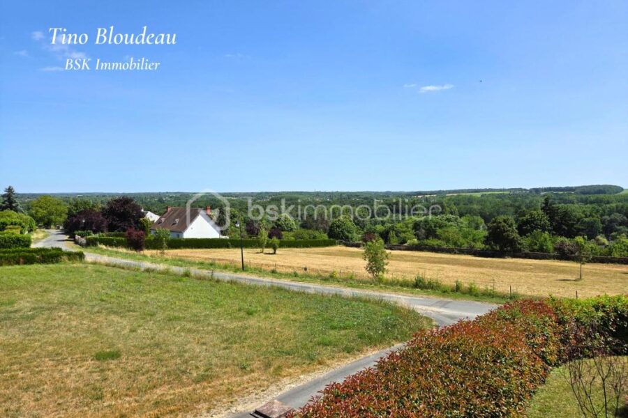 Maison à vendre à Chisseaux — Vue nature — photo 17