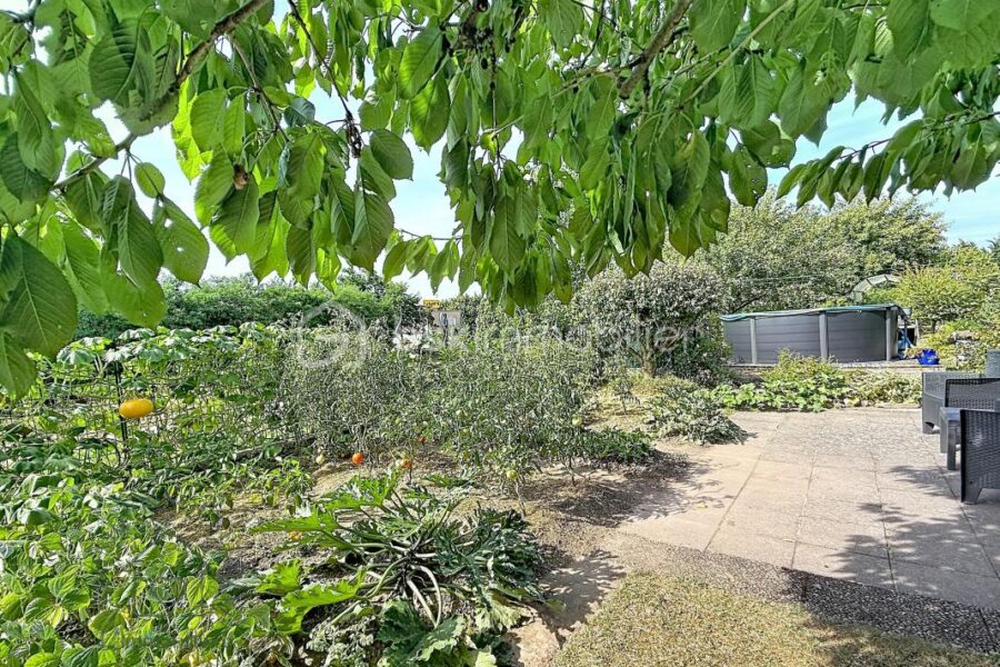 Maison à vendre à Monswiller — Vue nature — photo 17
