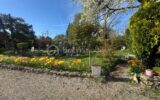 Maison à vendre à Thorigny sur marne — Vue parc & jardin — photo 17