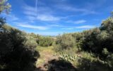 Terrain à vendre à La ciotat — Vue mer — photo 2