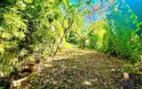 Maison à vendre à Montpellier — Vue nature — photo 19
