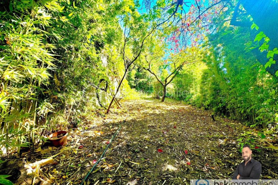 Maison à vendre à Montpellier — Vue nature — photo 19