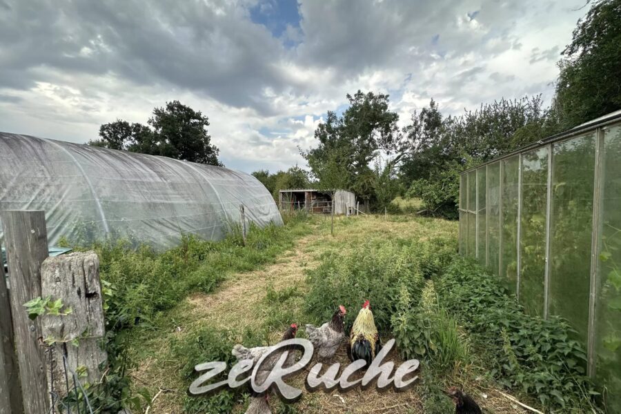 Maison à vendre à Cahagnes — Vue nature — photo 44