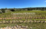 Terrain à vendre à Carcès — Vue vignes — photo 1