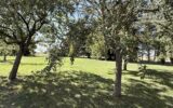 Maison à vendre à Tourailles — Vue nature — photo 5