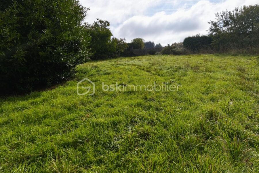 Terrain à vendre à Sixt sur aff — Vue nature — photo 2