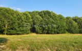 Terrain à vendre à Aire sur l adour — Vue nature — photo 1