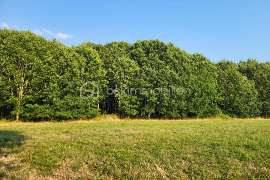 Terrain à vendre à Aire sur l adour — Vue nature — photo 1
