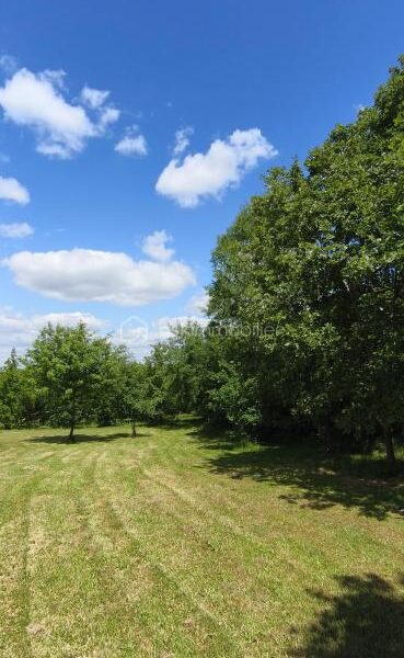 Terrain à vendre à Monclar de quercy — Vue dégagée — photo 2