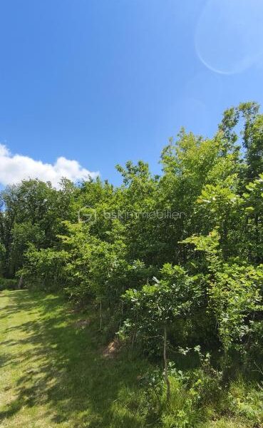 Terrain à vendre à Monclar de quercy — Vue dégagée — photo 2