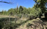 Terrain à vendre à Val de mercy — Vue dégagée — photo 1