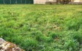 Terrain à vendre à Bidos — Vue dégagée — photo 2