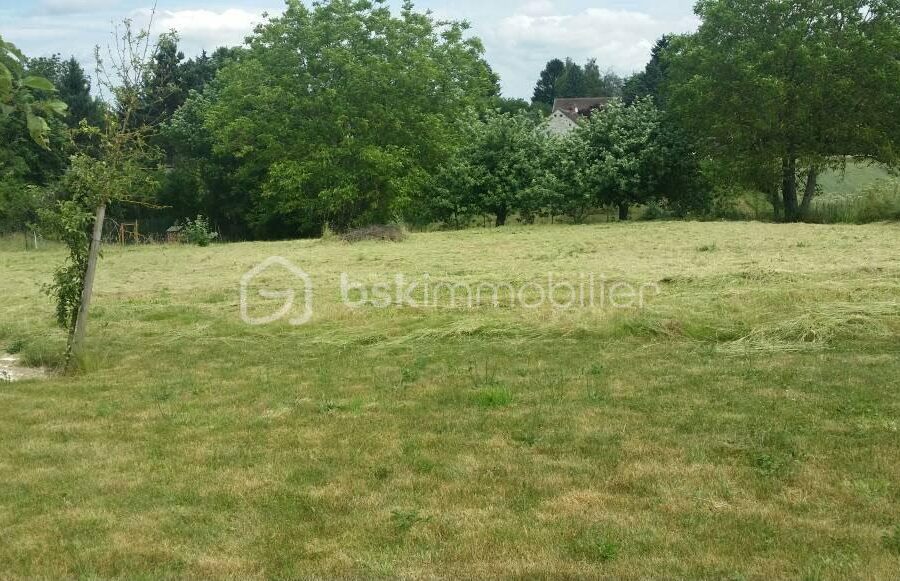 Terrain à vendre à Savigny sur clairis — Vue nature — photo 3