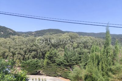 Maison à vendre à Amelie les bains palalda