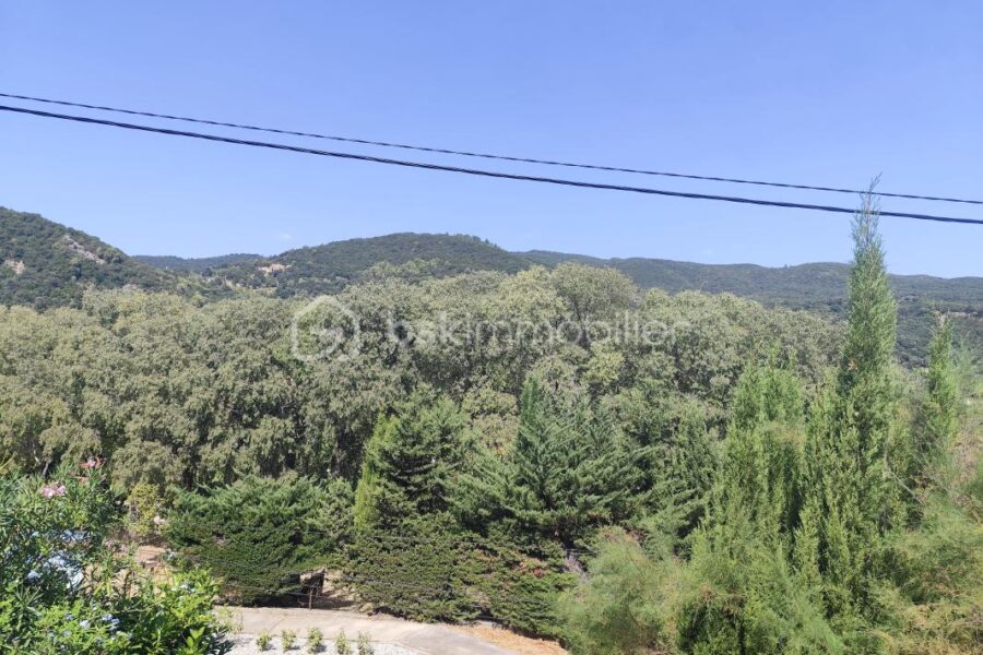 Maison à vendre à Amelie les bains palalda — Vue montagne — photo 1