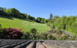 Maison à vendre à Montreuil le henri — Vue nature — photo 1