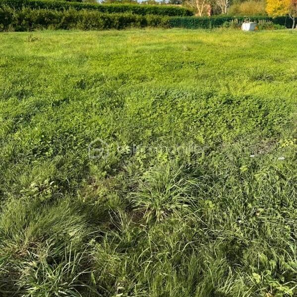 Terrain à vendre à Bois de la pierre — Vue dégagée — photo 2