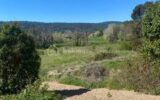 Terrain à vendre à Salernes — Vue nature — photo 3