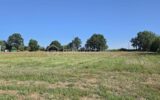 Terrain à vendre à Martigne sur mayenne — Vue nature — photo 1