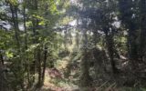 Terrain à vendre à Saint antoine du rocher — Vue dégagée — photo 1