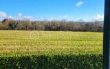 Maison à vendre à Saint donat sur l herbasse — Vue nature — photo 1