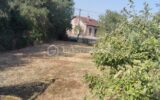 Terrain à vendre à Gaillac — Vue dégagée — photo 1