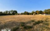 Terrain à vendre à Camps sur l isle — Vue dégagée — photo 1