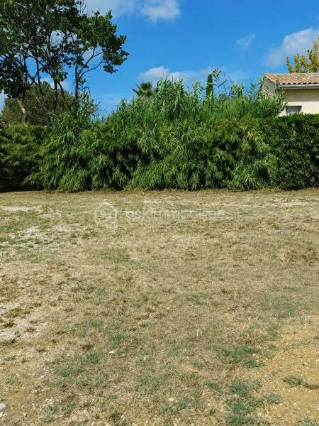 Terrain à vendre à Saint gely du fesc — Vue dégagée — photo 1