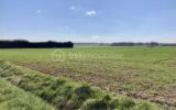 Terrain à vendre à Giffaumont champaubert — Vue nature — photo 1