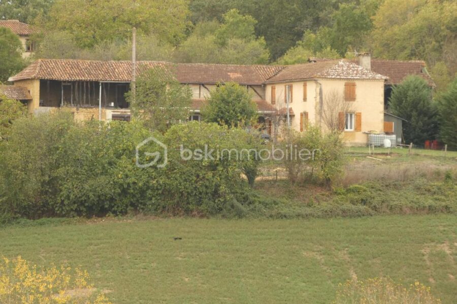 Maison à vendre à Mirande — Vue nature — photo 3