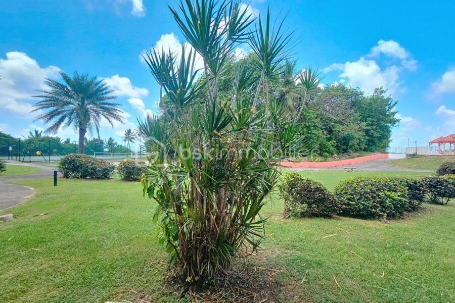 Appartement à vendre à Saint francois — Vue mer — photo 3