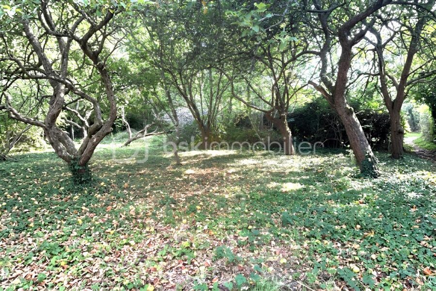 Terrain à vendre à Clohars carnoet — Vue dégagée — photo 2