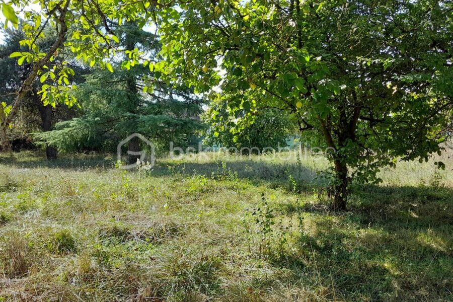 Terrain à vendre à Saint georges sur cher — Vue nature — photo 2