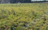 Terrain à vendre à Jallaucourt — Vue dégagée — photo 2