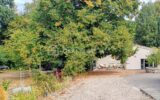 Maison à vendre à Dammarie les lys — Vue nature — photo 4