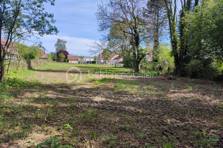 Terrain à vendre à Villeneuve l archeveque — Vue dégagée — photo 2