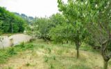 Maison à vendre à La frette — Vue nature — photo 20