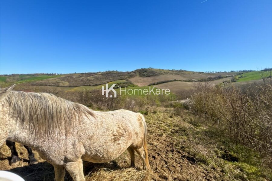 Maison à vendre à Rieux volvestre — Vue nature — photo 20