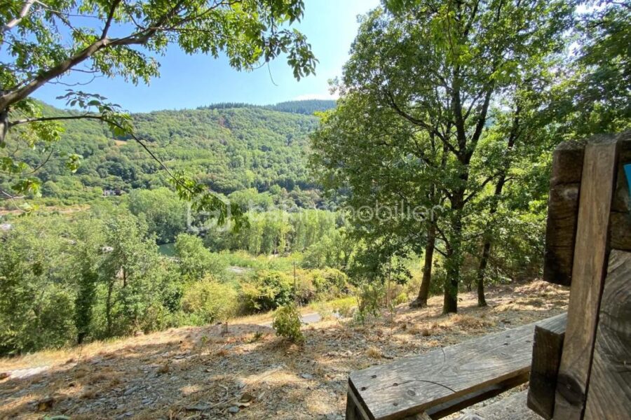 Maison à vendre à Connac — Vue nature — photo 20