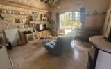 Maison à vendre à Agen — Vue nature — photo 20