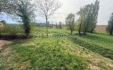 Maison à vendre à Romille — Vue nature — photo 20