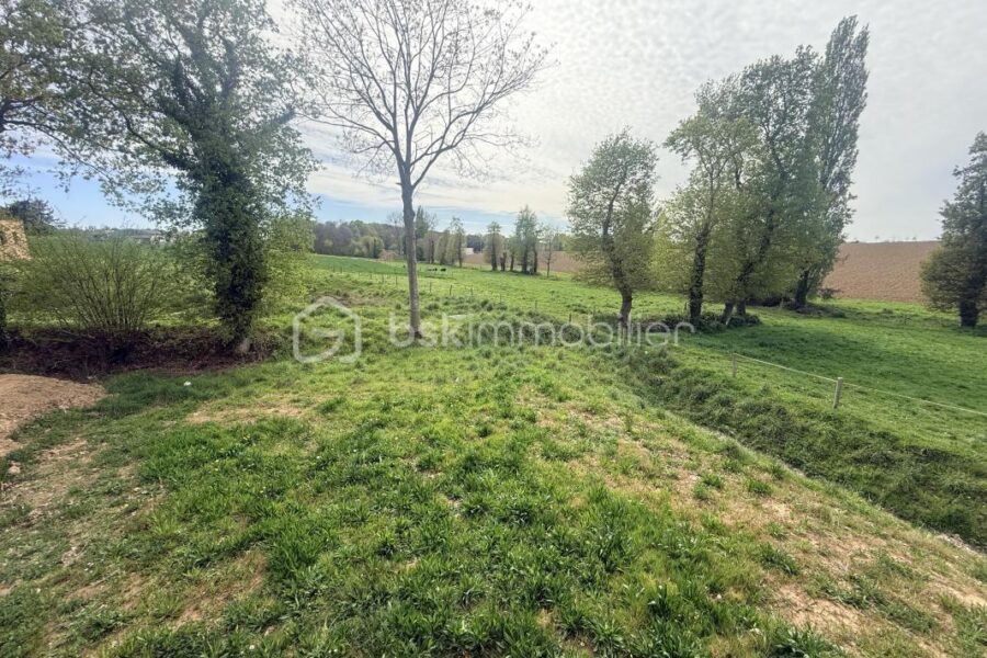 Maison à vendre à Romille — Vue nature — photo 20