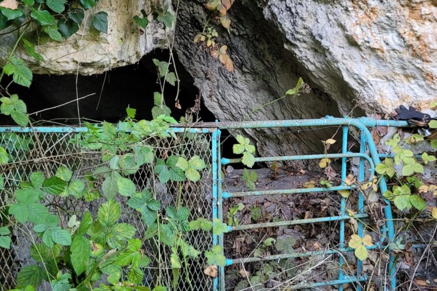 Maison à vendre à Les roches-l&rsquo;Évêque — Vue nature — photo 9
