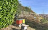 Maison à vendre à Rouffiac tolosan — Vue nature — photo 21