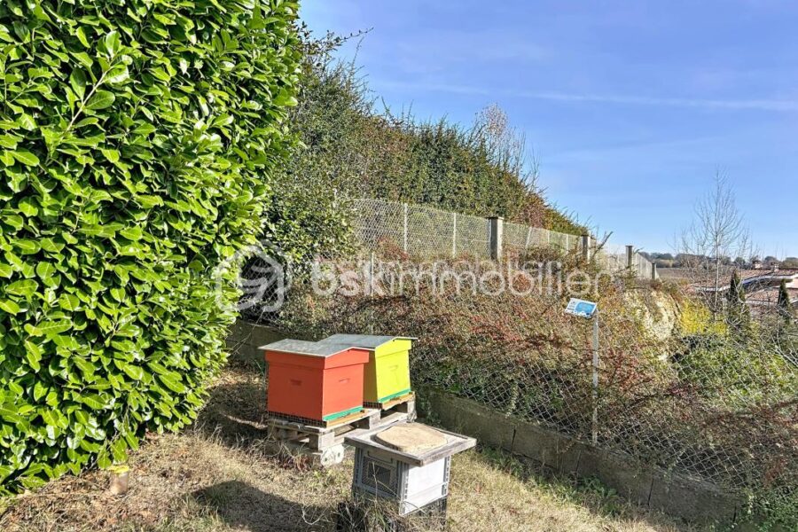 Maison à vendre à Rouffiac tolosan — Vue nature — photo 21