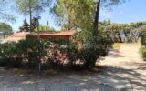 Maison à vendre à Maraussan — Vue nature — photo 21