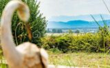 Maison à vendre à La frette — Vue nature — photo 21
